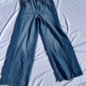 Gap wide Leg Two-Tone Blue Jeans for Women size 2/26